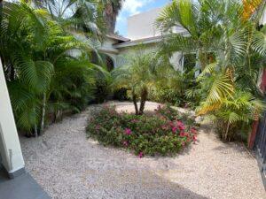 Tropische-Villa-zu-Vermieten-Rooi-Catootje-Curaçao-Garten